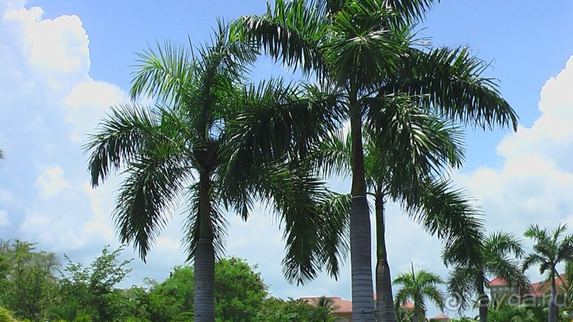 фото Gran Bahia Principe Ambar