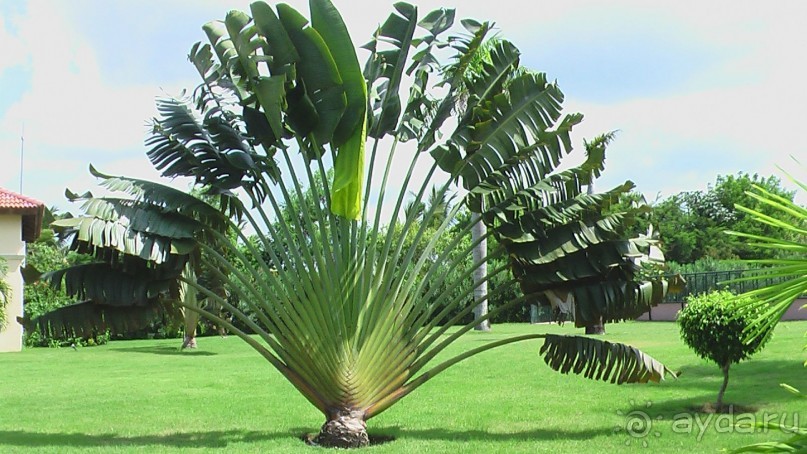 фото Gran Bahia Principe Ambar