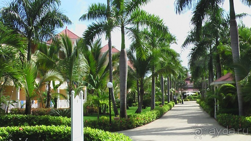 фото Gran Bahia Principe Ambar