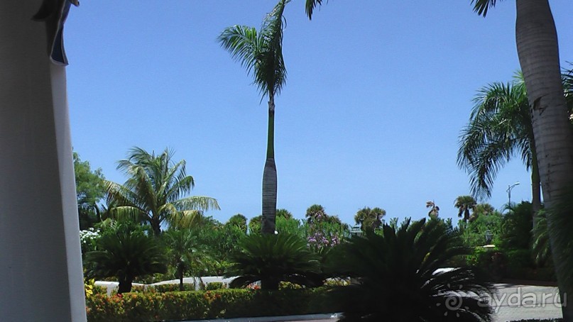 фото Gran Bahia Principe Ambar