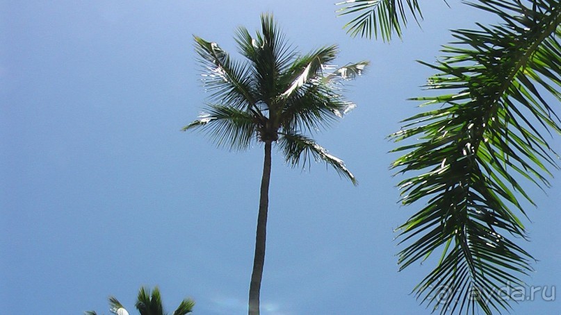 фото Gran Bahia Principe Ambar