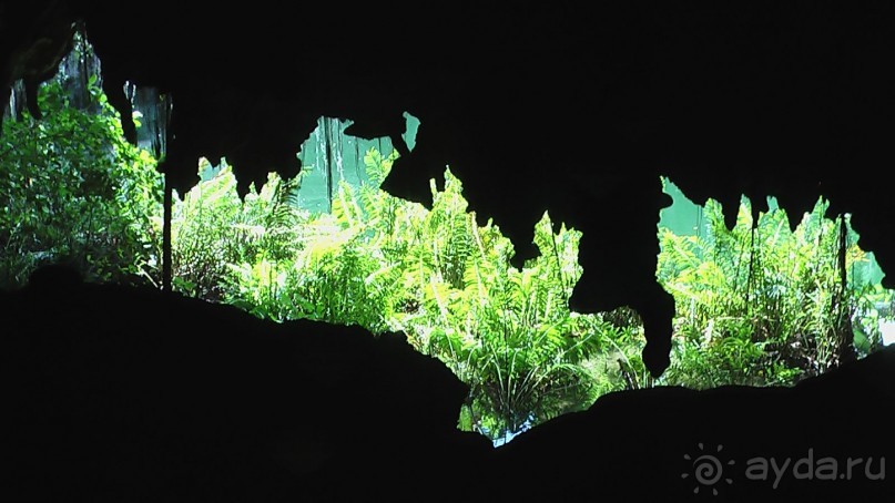 фото Gran Bahia Principe Ambar