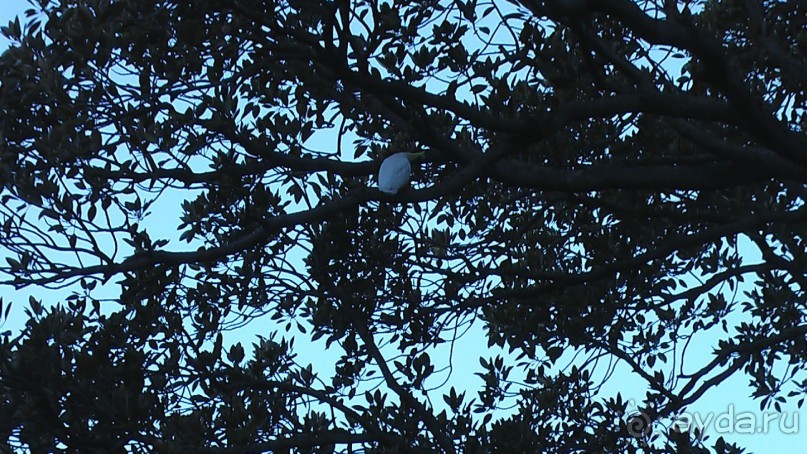 Сингапур-Австралия.