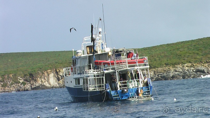 Сингапур-Австралия.