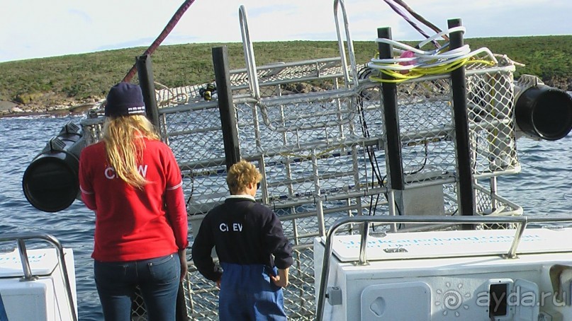 Сингапур-Австралия.