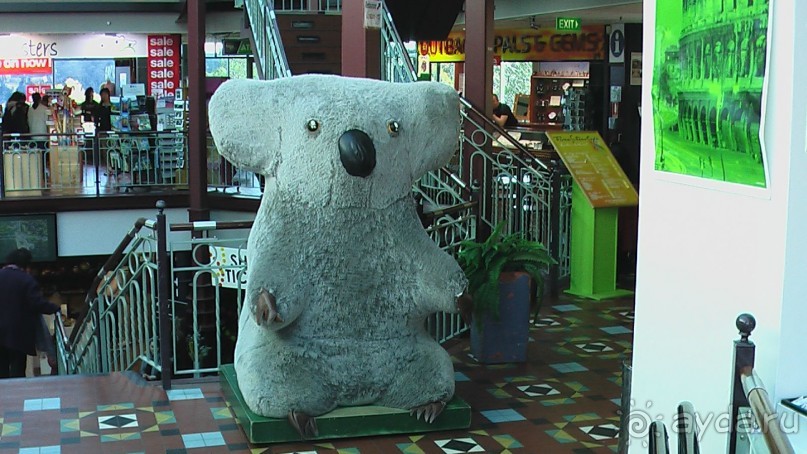 Сингапур-Австралия.