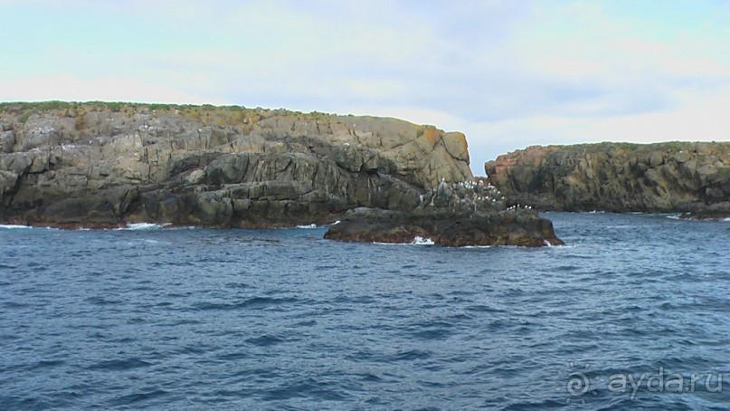 Сингапур-Австралия.