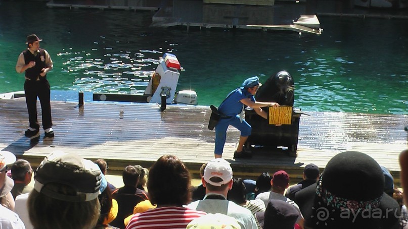 Сингапур-Австралия.