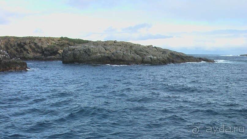 Сингапур-Австралия.