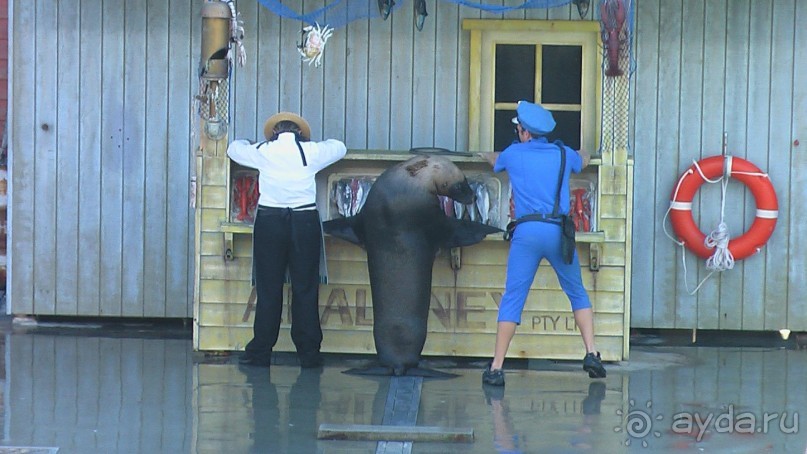 Сингапур-Австралия.