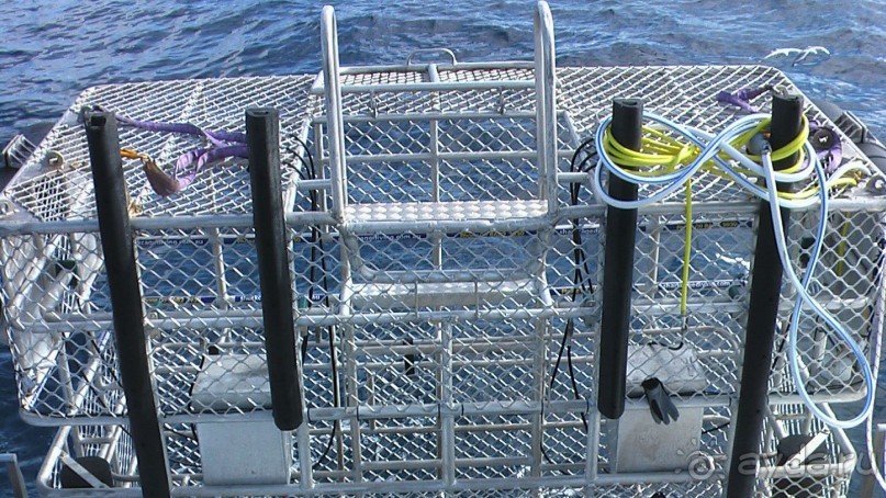 Сингапур-Австралия.