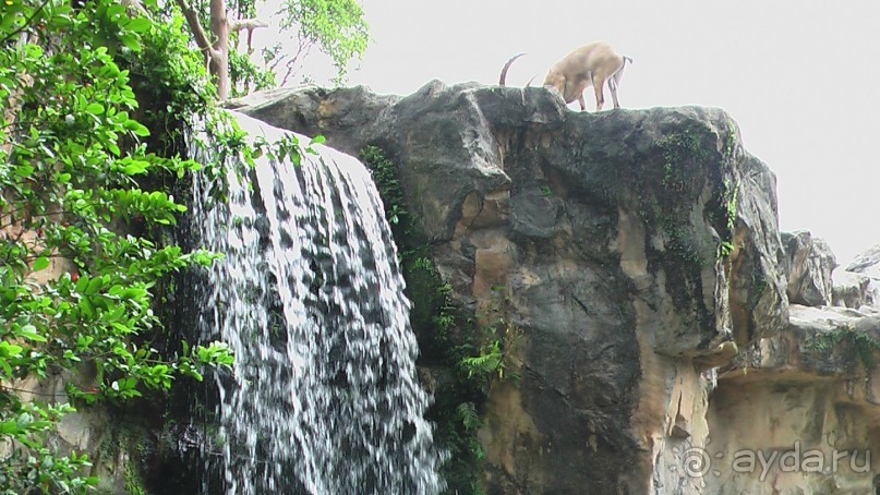 Сингапур-Австралия.