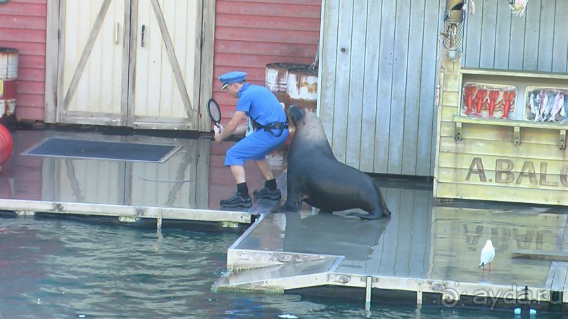 Сингапур-Австралия.