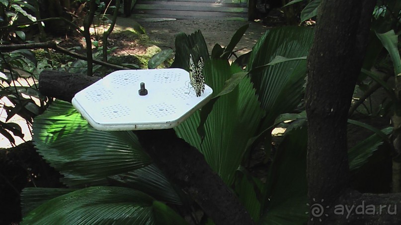 Сингапур-Австралия.