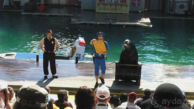 Сингапур-Австралия.