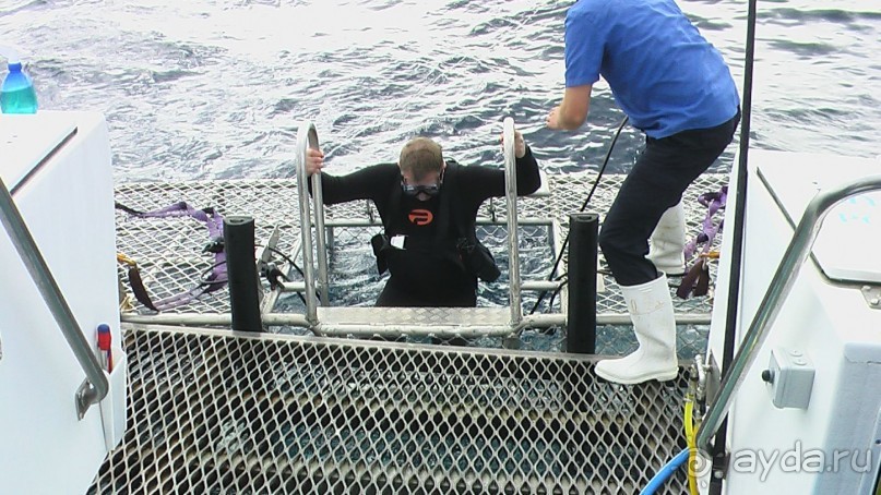 Сингапур-Австралия.