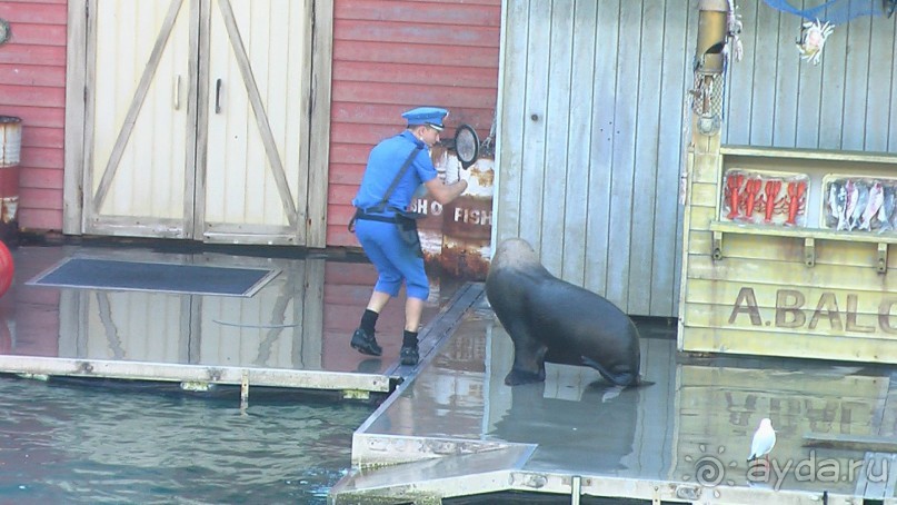 Сингапур-Австралия.