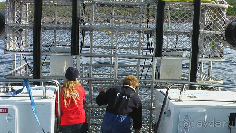 Сингапур-Австралия.