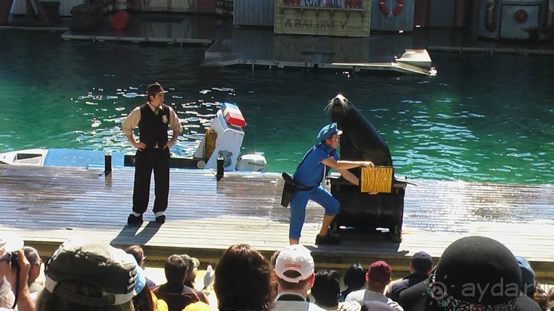 Сингапур-Австралия.