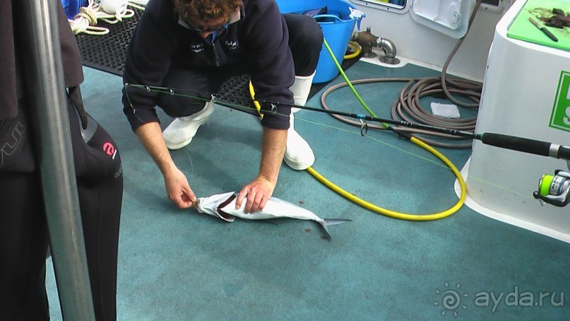 Сингапур-Австралия.