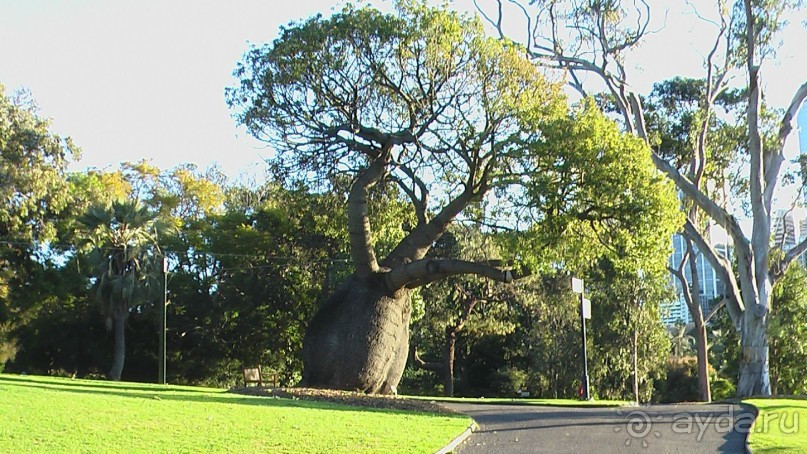 Сингапур-Австралия.