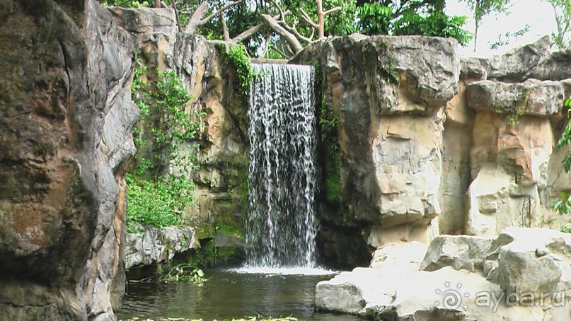 Сингапур-Австралия.