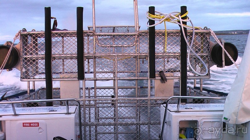 Сингапур-Австралия.