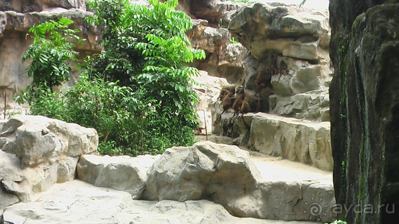 Сингапур-Австралия.