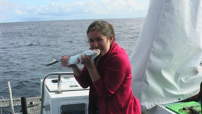 Сингапур-Австралия.