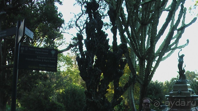 Сингапур-Австралия.