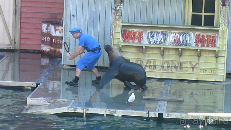 Сингапур-Австралия.