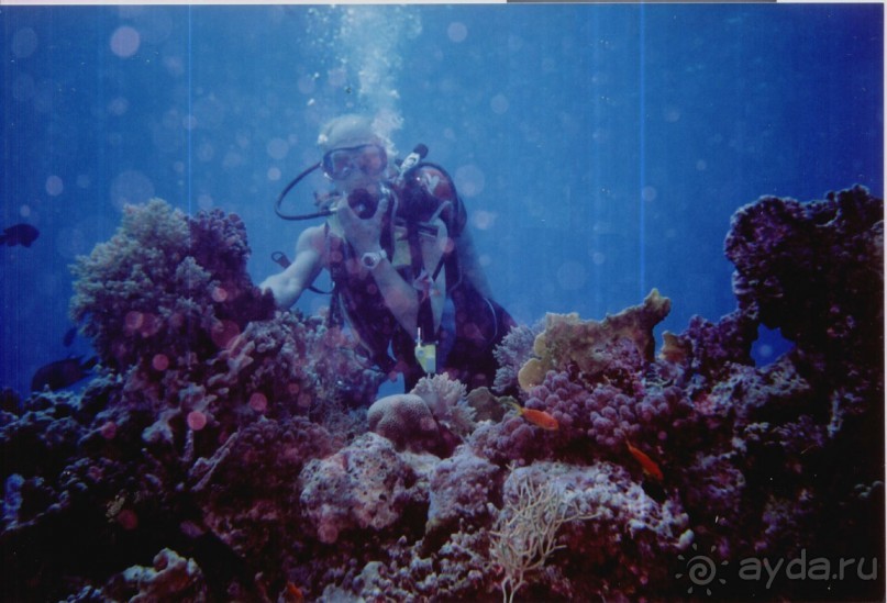 Место для сна, зато в центре. Реформирован, раньше назывался просто "лагуна"