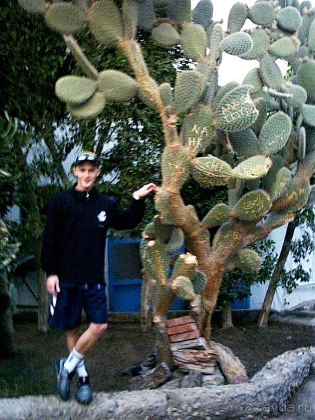 Место для сна, зато в центре. Реформирован, раньше назывался просто "лагуна"