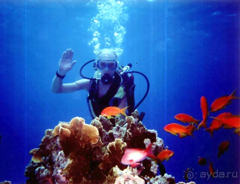 Место для сна, зато в центре. Реформирован, раньше назывался просто "лагуна"