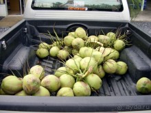 Все понрвилось, похал бы еще туда 