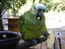 Маленький (очень) отель но приятый