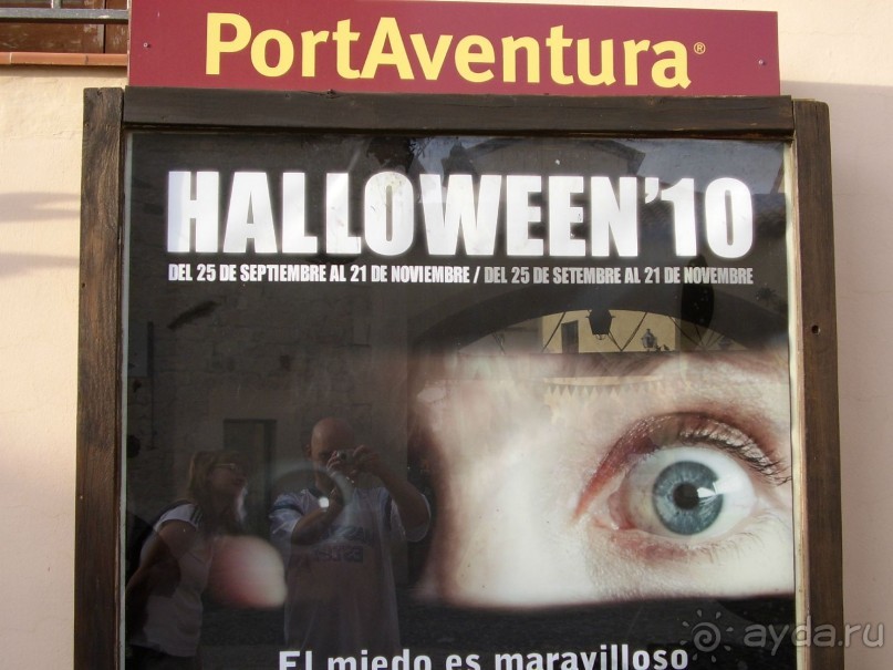 Вечный шум и гам