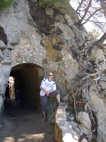 Вечный шум и гам