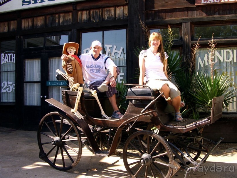 Вечный шум и гам