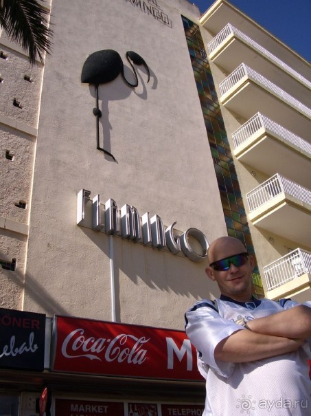 Вечный шум и гам