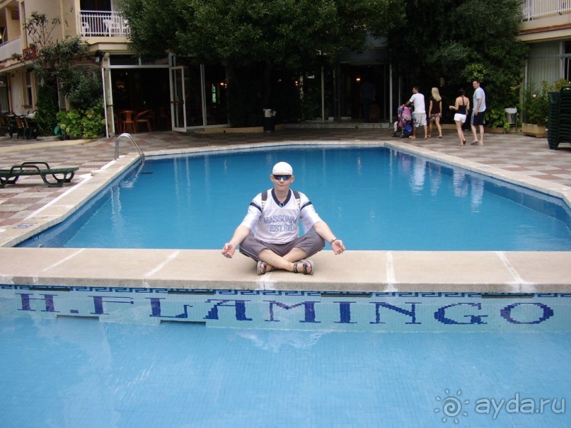 Вечный шум и гам