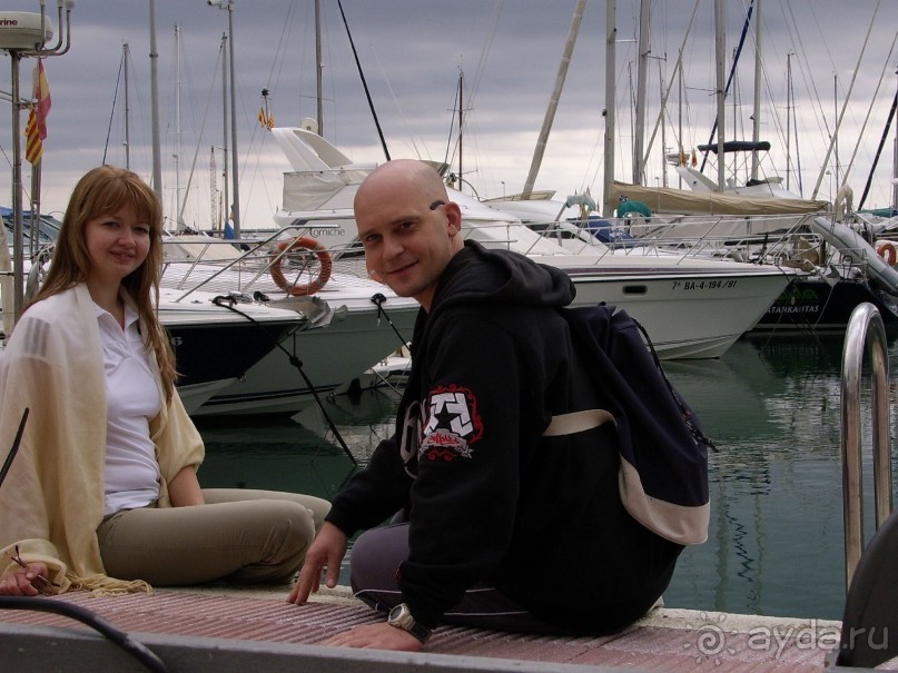 Вечный шум и гам