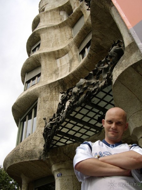 Вечный шум и гам