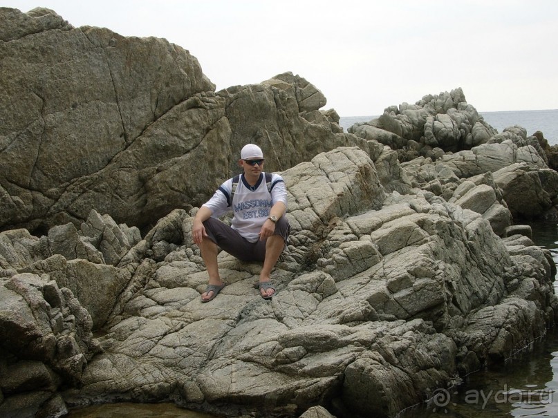 Вечный шум и гам