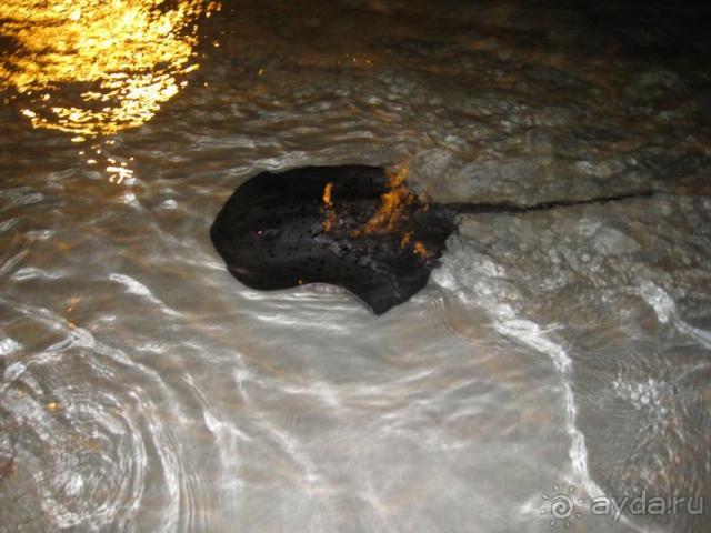 Sun Island мои впечатления.