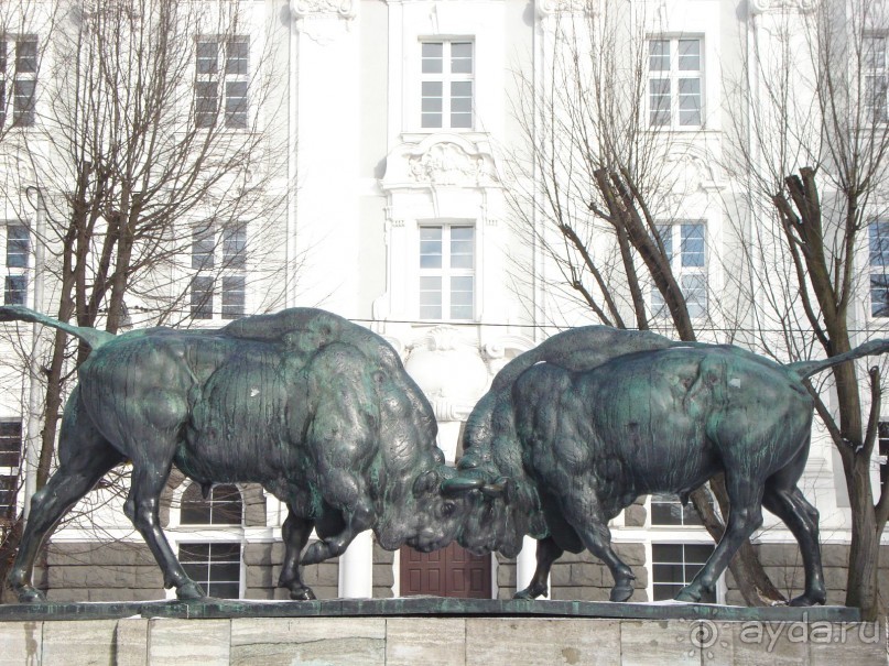 Калининград