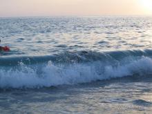 фото Blue Fish