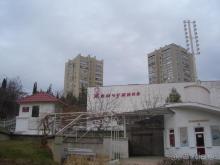 Жемчужина
