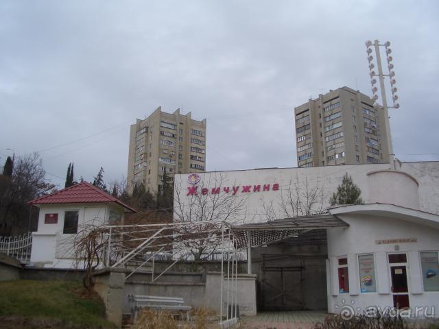 фото Жемчужина