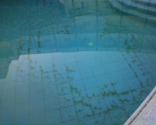 Чудо природы